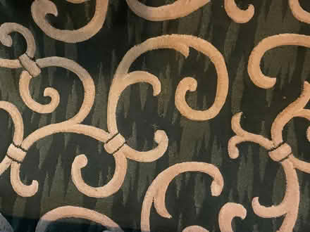 Photo of free green and camel carpet (Cupertino) #1