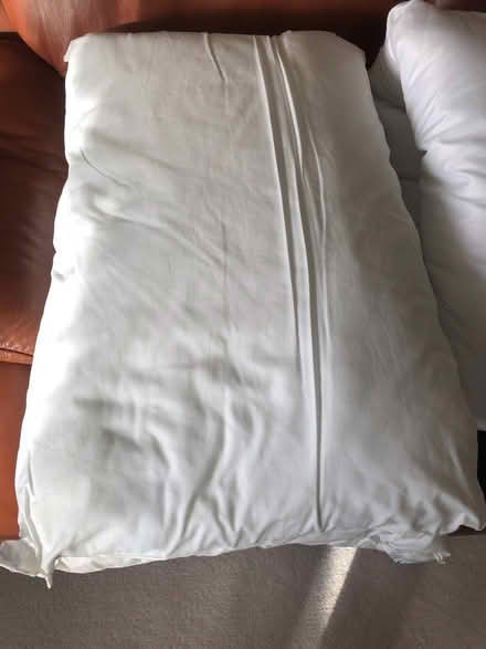 Photo of free Duvets and pillows (Dewsbury WF13) #1