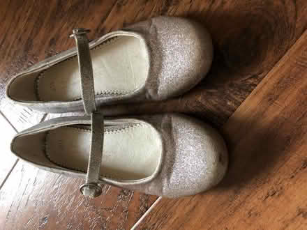 Photo of free Girls sparkly shoes (Crooks Barn TS20) #1