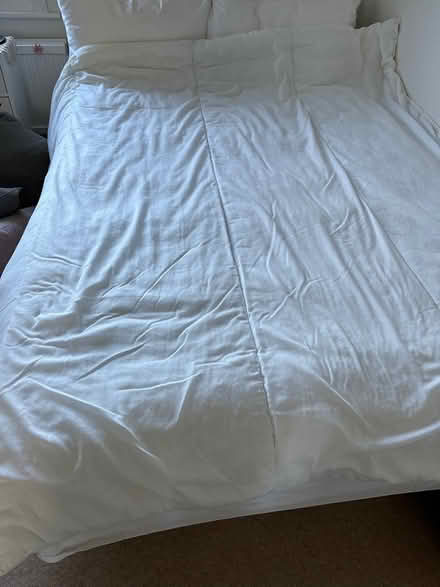 Photo of free Double quilt (OX1) #1