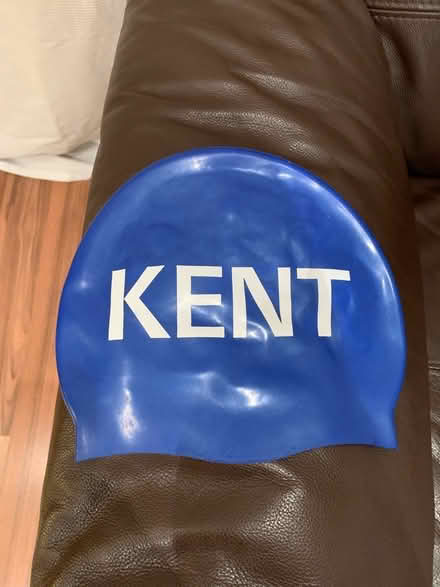 Photo of free Blue silicone swim hat (Walthamstow E17) #1