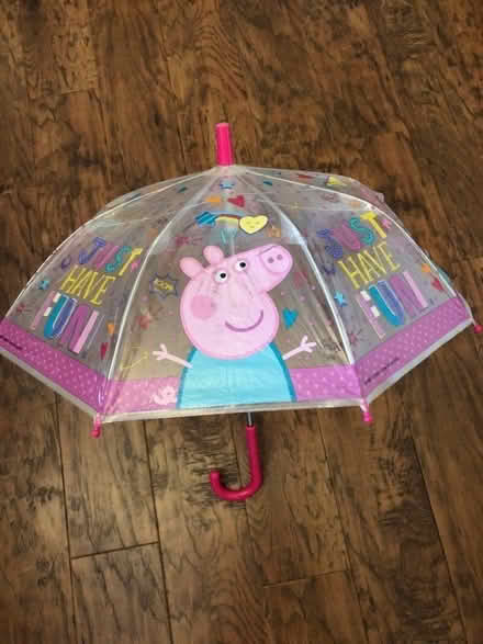 Photo of free Peppa pig umbrella (Crooks Barn TS20) #3
