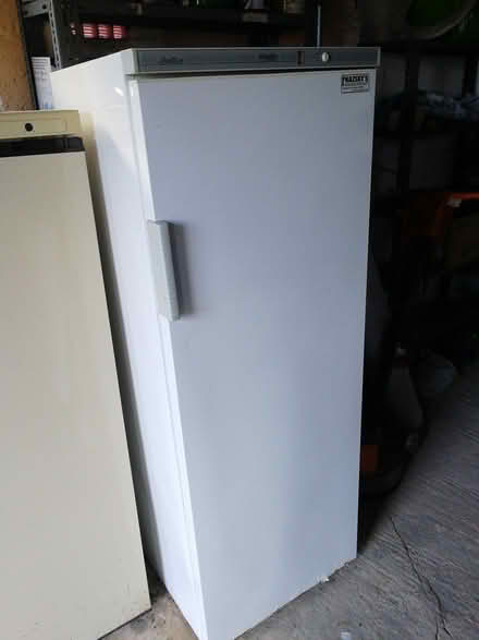 Photo of free Tall freezer Iceline (CO2 Colchester, Mersea Road) #1