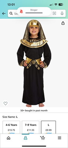 Photo of free Egyptian fancy dress (BN1 (off Dyke Road)) #2