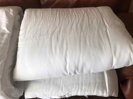 Photo of free Duvets and pillows (Dewsbury WF13) #3