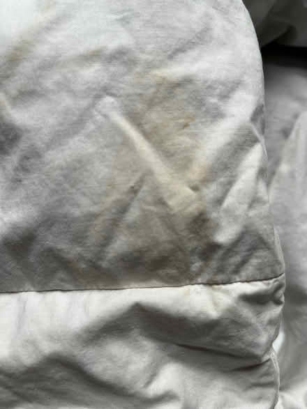 Photo of free 13.5 tog feather double duvet (Colliers Wood SW19) #4