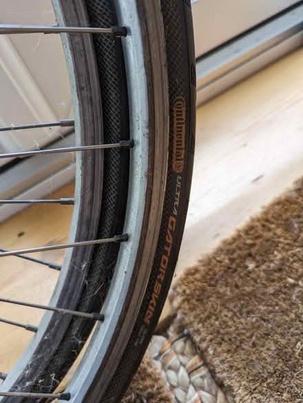 Photo of free 26 inch bicycle road tyres (slick) (Cowley OX4) #1