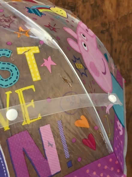 Photo of free Peppa pig umbrella (Crooks Barn TS20) #4