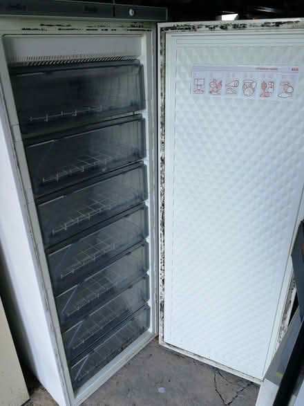 Photo of free Tall freezer Iceline (CO2 Colchester, Mersea Road) #2