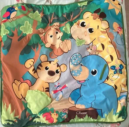 Photo of free Baby playmat (Royston Heath) #2