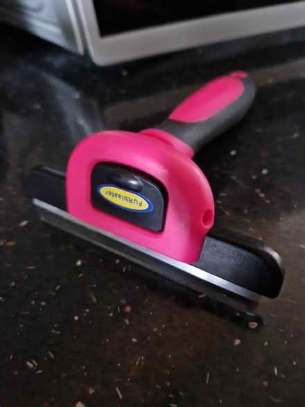 Photo of free Pet brush (Old street EC1V) #1