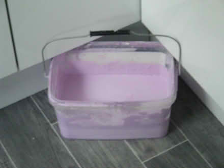 Photo of free lilac paint (New Brighton CH45) #1