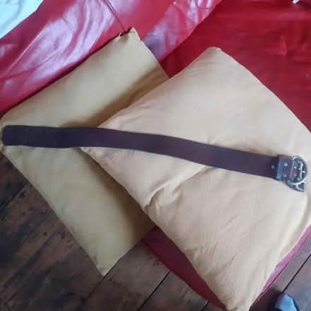 Photo of free Large dog collar (Wandsworth common SW18) #1