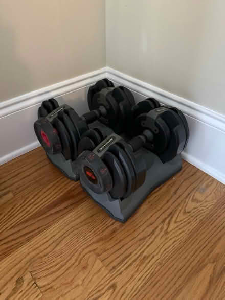 Photo of free Set of Bowflex Weights (Smyrna) #1