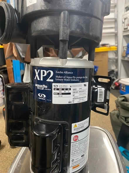 Photo of free Aqua Flo pump XP2 (Hillandale) #4