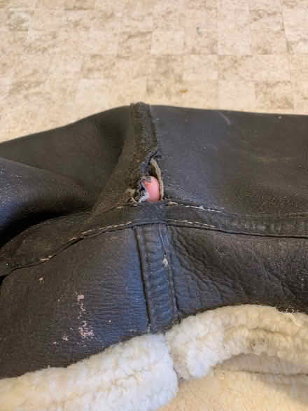 Photo of free Large sheepskin coat -for repair (HD9 Honley) #3