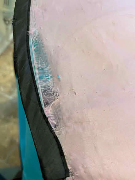 Photo of free Pop up cat tent (East Barnet, EN4) #1