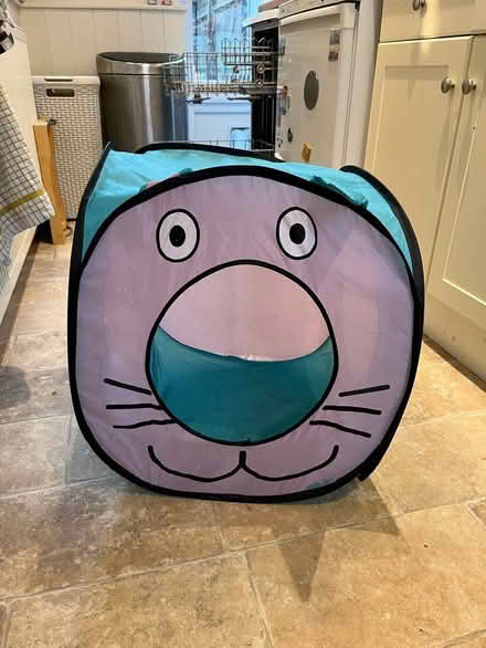 Photo of free Pop up cat tent (East Barnet, EN4) #2