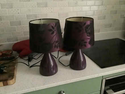 Photo of free 2 lamps (Anstey Height’s LE4) #1