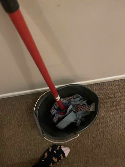 Photo of free Mop and bucket (SW17) #1