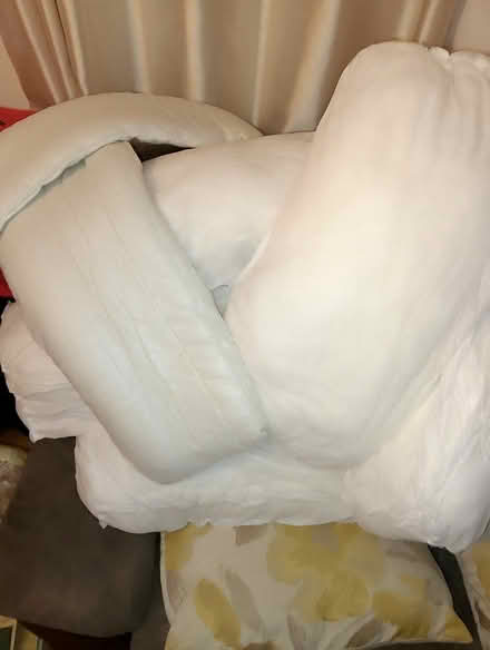 Photo of free Cushion pads x 6 (Henbury) #1