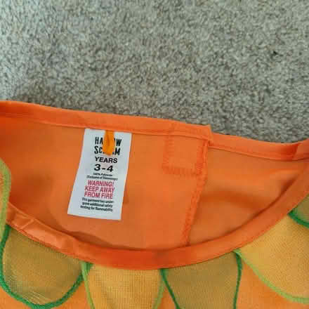 Photo of free Toddler fancy dress (SY2) #2