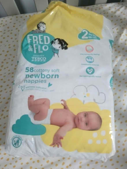 Photo of free Fred and Flo size 2 nappies (Rowanfield GL51) #2