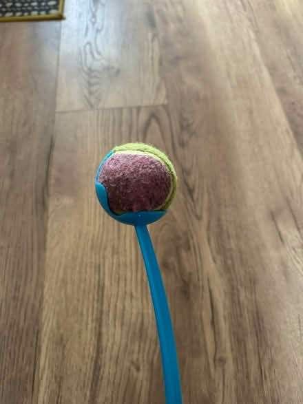 Photo of free Dog ball thrower (Bowburn DH6) #2