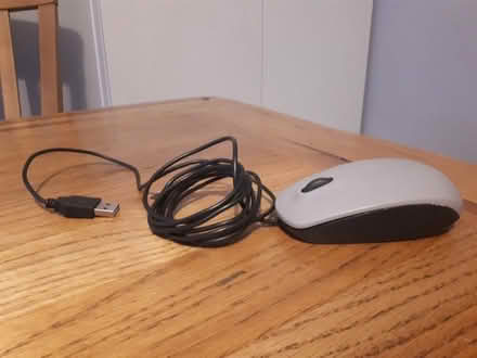 Photo of free Computer Mouse (Wivenhoe CO7) #1