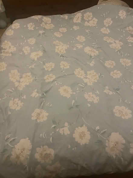 Photo of free Duvet (West hampstead NW6) #1