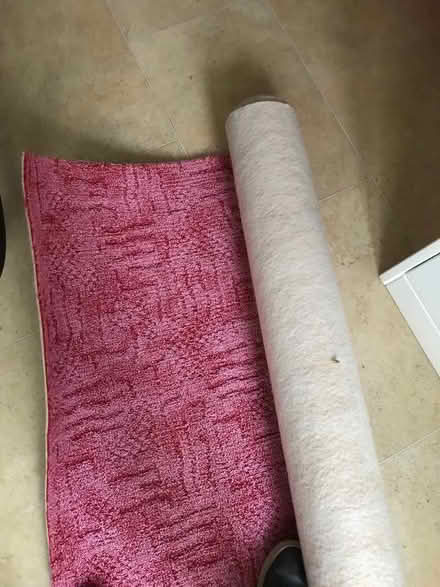 Photo of free Carpet off cuts (Birch CO2) #2