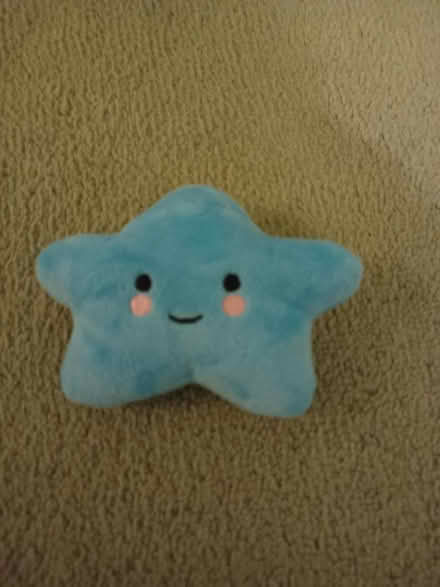 Photo of free Squeaky star toy (CW2) #1