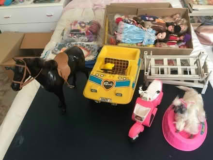Photo of free Sindy/Barbie stuff (Dallington) #1
