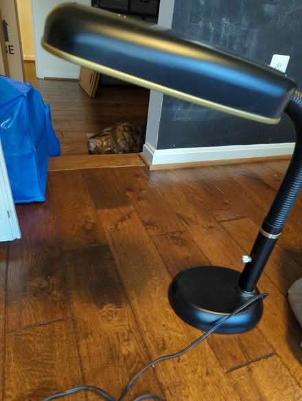 Photo of free Desk vit D light (North Reston) #1