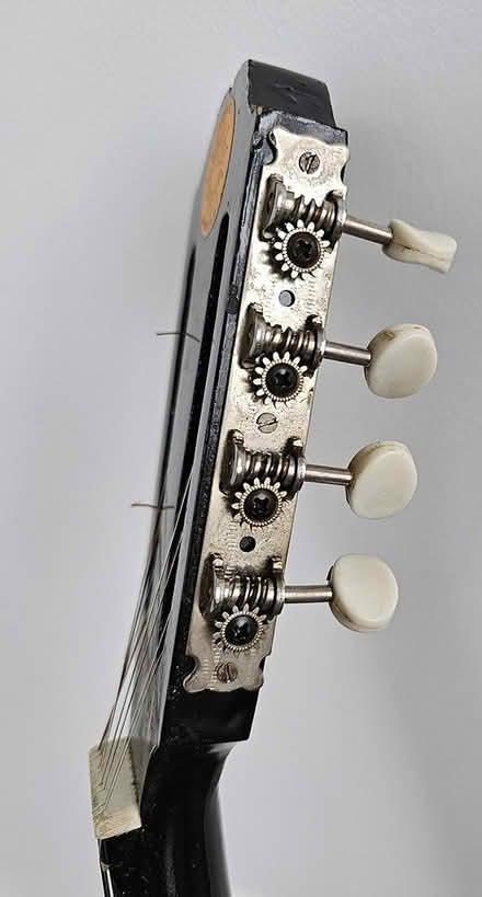 Photo of free Bouzouki (Brighton/Lower Allston) #1