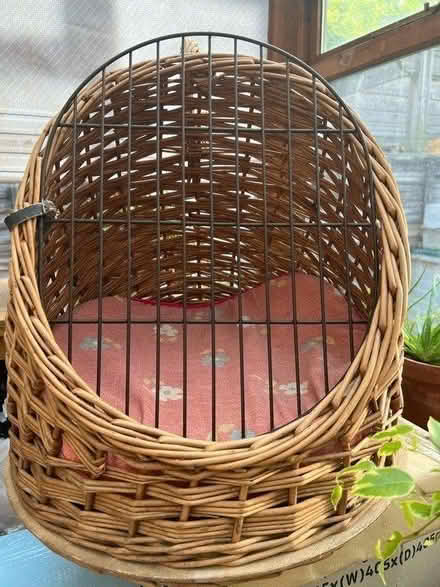 Photo of free Cat / Kitten Small Pet Carrier (Wandsworth SW18) #2