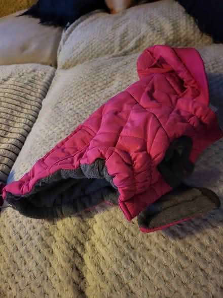 Photo of free Small quilted dog coat (Bradford on avon BA15) #1
