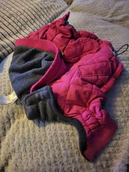 Photo of free Small quilted dog coat (Bradford on avon BA15) #3
