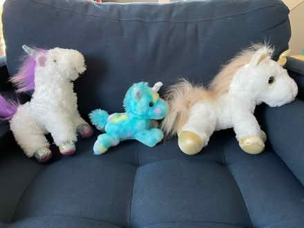 Photo of free Unicorn Stuffy x 3 (Hawthorne and Pleasant) #3