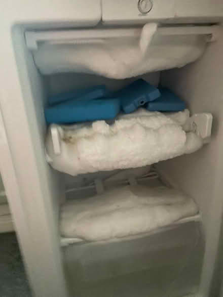 Photo of free Under counter freezer (Chippenham SN15) #1