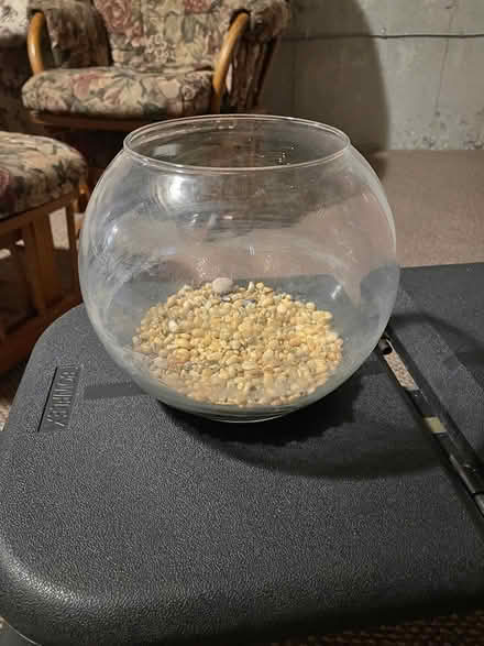 Photo of free Round fish bowl (Milton (Thompson and Derry)) #1