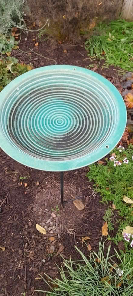 Photo of free Ceramic birdbath (Amber meadows 21702) #2