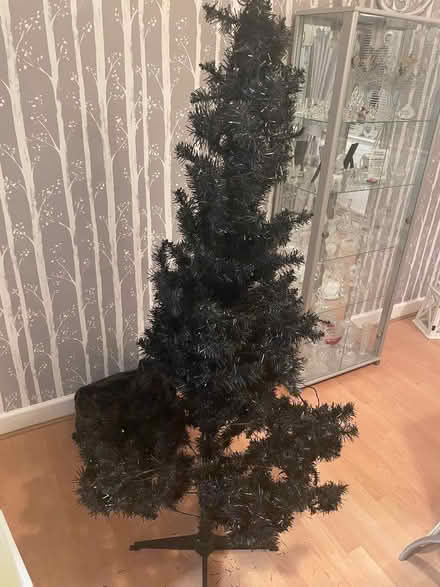 Photo of free Black Christmas Tree (Little Dawley TF4) #2