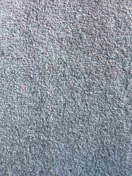 Photo of free Plain pale grey carpet (Frankwell SY3) #1