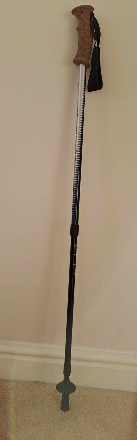 Photo of free Hiking pole (Penarth CF64) #1