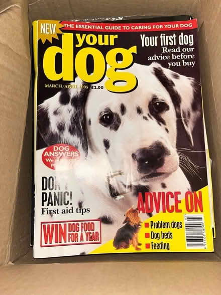 Photo of free Dog Magazines (Stamford PE9) #1
