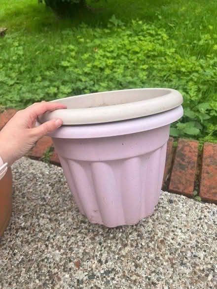 Photo of free X2 pink and lilac plant pots (Newney green CM1) #1