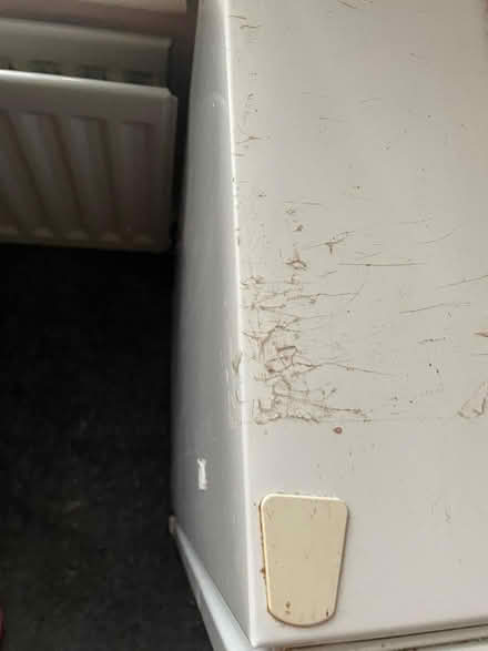 Photo of free Under counter freezer (Chippenham SN15) #3