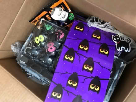Photo of free Misc Halloween decor and Costume (Lousiana and Zuni) #2