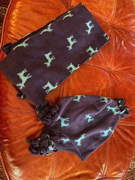 Photo of free Kids fleece scarves & hat in blue (Upper NW DC/Tenley vicinity) #2